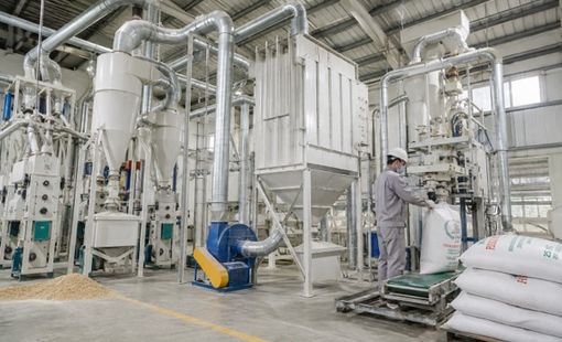 Vì sao nhiều nhà máy nông sản bắt đầu đầu tư hệ thống hút bụi thay vì chỉ mở thêm quạt?