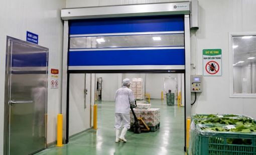 Nhà xưởng chế biến nhỏ đang chuyển sang dùng cửa cuốn nhanh để giảm thất thoát nhiệt và côn trùng