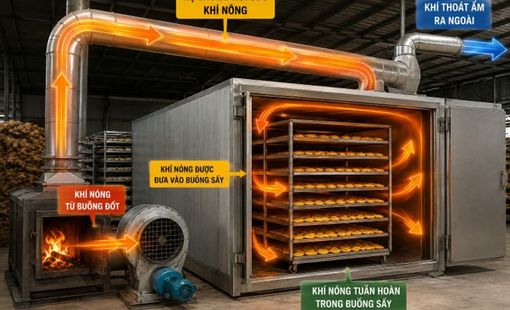 Khí nóng không còn bị “thổi bỏ”: Bí quyết giảm chi phí nhiên liệu của các lò sấy nông sản