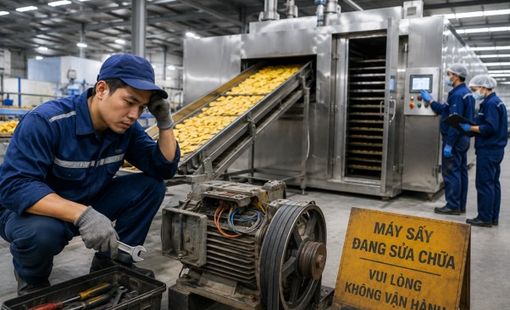 Khi nhà máy nông sản thiếu thợ bảo trì: Áp lực mới của ngành cơ khí nông thôn