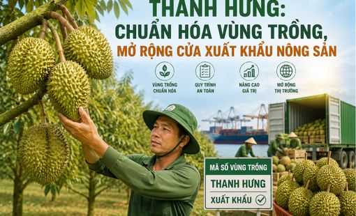 Thanh Hưng: Chuẩn hóa vùng trồng, mở rộng cửa xuất khẩu nông sản