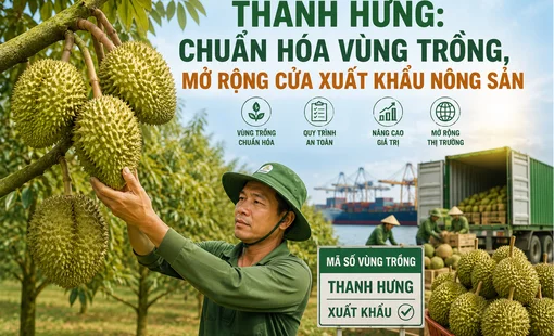 Thanh Hưng: Chuẩn hóa vùng trồng, mở rộng cửa xuất khẩu nông sản