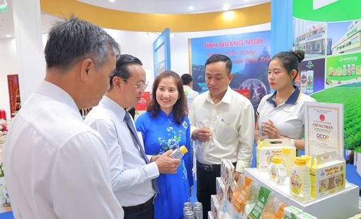 OCOP Quảng Ngãi: Từ đặc sản vùng miền đến cơ hội mở rộng thị trường