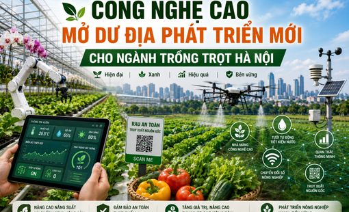 Công nghệ cao mở dư địa phát triển mới cho ngành trồng trọt Hà Nội