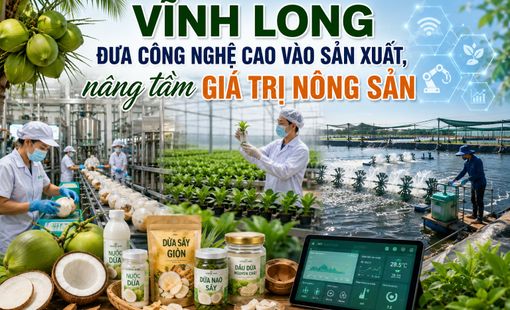Vĩnh Long đưa công nghệ cao vào sản xuất, nâng tầm giá trị nông sản