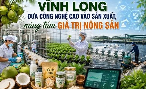 Vĩnh Long đưa công nghệ cao vào sản xuất, nâng tầm giá trị nông sản