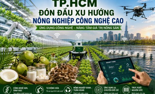 TP.HCM đón đầu xu hướng nông nghiệp công nghệ cao