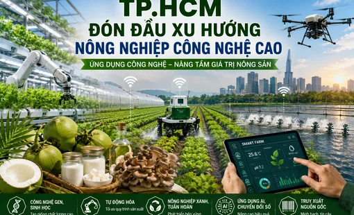 TP.HCM đón đầu xu hướng nông nghiệp công nghệ cao