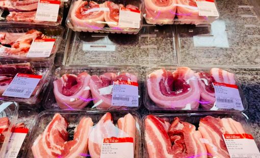 Giá heo hơi hôm nay 17/8: Giảm 2.000 - 3.000 đồng/kg, áp sát mốc 55.000 đồng/kg