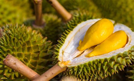 Giá sầu riêng hôm nay 17/8: Sầu Thái loại A tăng tại Gia La