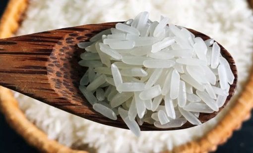 15 sản phẩm OCOP: Hạt gạo Tây Ninh tìm đường đi xa