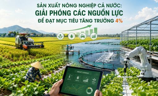 Nông nghiệp tăng tốc những tháng cuối năm, quyết tâm đạt mục tiêu tăng trưởng 4%