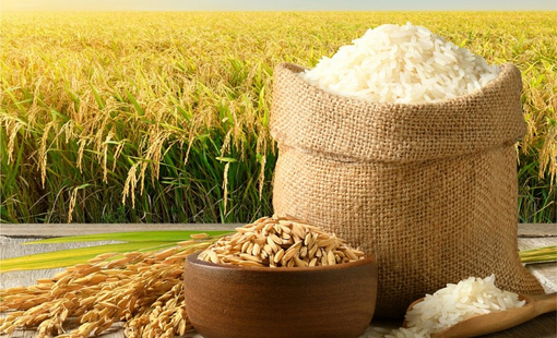 Giá gạo xuất khẩu đồng loạt đi lên, gạo Việt tăng tuần thứ ba liên tiếp