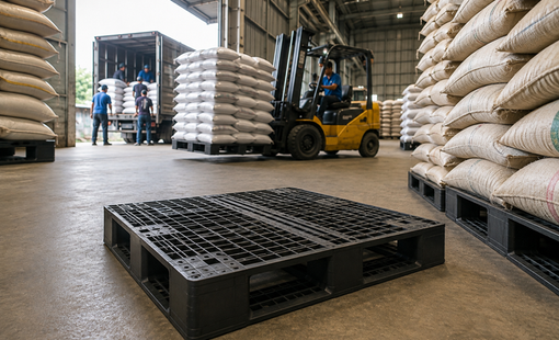 Kho nông sản chậm bốc hàng, đôi khi nút thắt nằm ở chiếc pallet