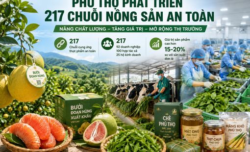 Phú Thọ phát triển 217 chuỗi nông sản an toàn, nâng giá trị sản phẩm