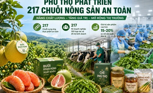 Phú Thọ phát triển 217 chuỗi nông sản an toàn, nâng giá trị sản phẩm