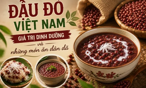 Đậu đỏ Việt Nam: Giá trị dinh dưỡng và những món ăn dân dã