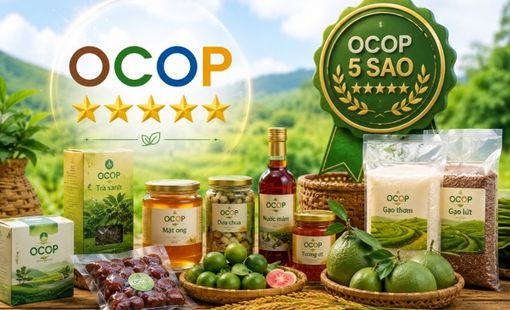 Có sao OCOP rồi, làm sao giữ được chất lượng?