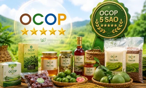 Có sao OCOP rồi, làm sao giữ được chất lượng?