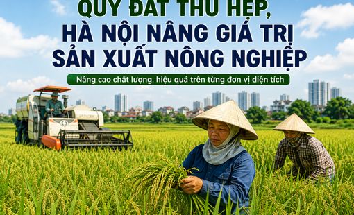 Quỹ đất thu hẹp, Hà Nội nâng giá trị sản xuất nông nghiệp