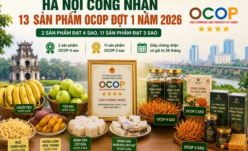 Hà Nội công nhận 13 sản phẩm OCOP đợt 1 năm 2026