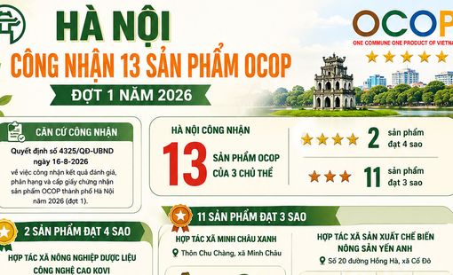 [Infographic] Hà Nội công nhận 13 sản phẩm OCOP đợt 1 năm 2026