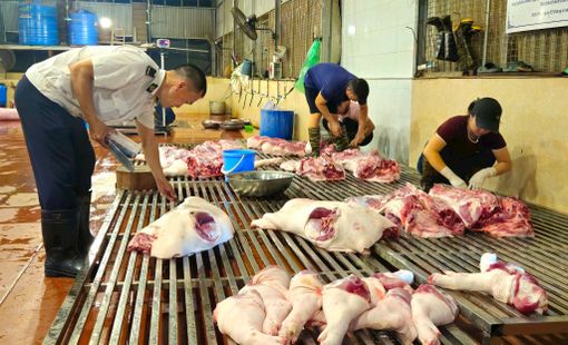 Hà Nội phê duyệt mạng lưới 28 cơ sở giết mổ gia súc, gia cầm tập trung