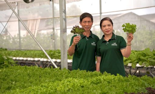 TMT – Khởi nghiệp ở tuổi U70, gieo khát vọng về nền nông nghiệp sạch