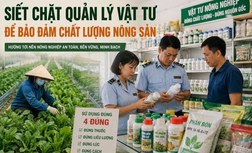 Hà Nội siết quản lý vật tư nông nghiệp, bảo đảm chất lượng nông sản từ đầu vào
