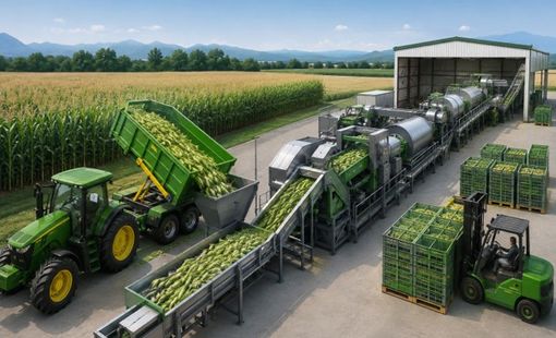 Nông sản chịu chi phí tăng, lợi nhuận bị “ăn mòn” vì chờ máy