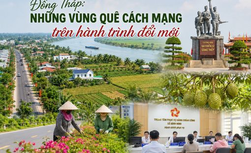 Đồng Tháp: Những vùng quê cách mạng trên hành trình đổi mới