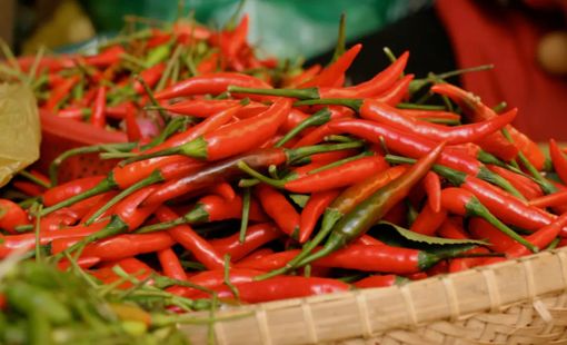 Nguồn cung khan hiếm, giá ớt tại TP Hồ Chí Minh lên tới 220.000 đồng/kg