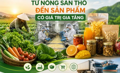 Từ nông sản thô đến sản phẩm giá trị cao: Hà Nội đẩy mạnh chế biến sâu