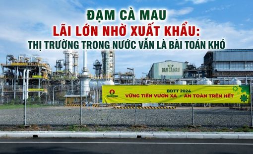 Đạm Cà Mau lãi lớn nhờ xuất khẩu: Thị trường trong nước vẫn là bài toán khó