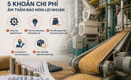 5 khoản chi phí âm thầm bào mòn lợi nhuận nhà máy nông sản