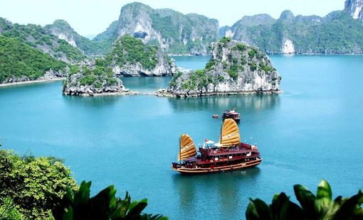 Từ 1/9, mỗi địa điểm sẽ có mã định danh 12 chữ số, có thể khai thác trên VNeID