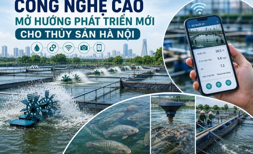 Công nghệ cao mở hướng phát triển mới cho thủy sản Hà Nội