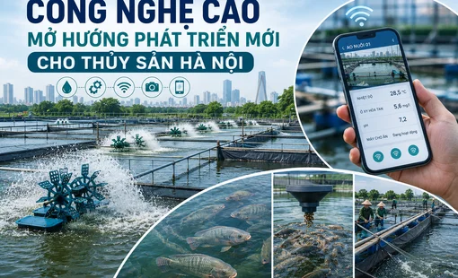 Công nghệ cao mở hướng phát triển mới cho thủy sản Hà Nội