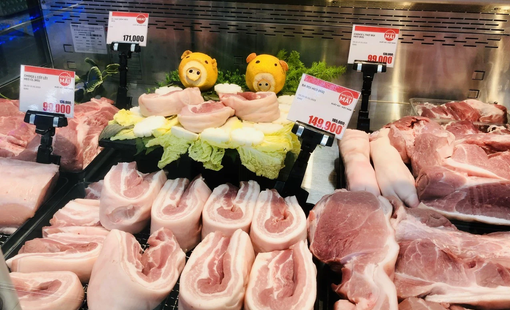 Giá heo hơi hôm nay 20/8: Đồng loạt tăng trở lại, cao nhất 58.000 đồng/kg