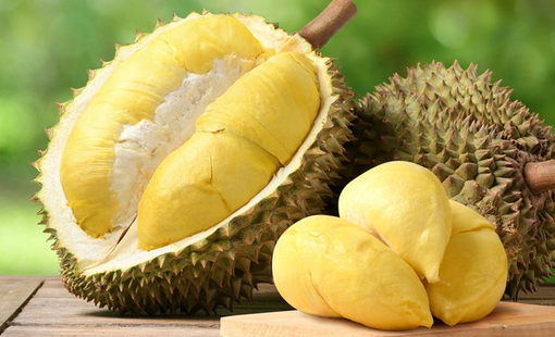 Giá sầu riêng hôm nay 20/8: Gia Lai giảm, Đắk Lắk vẫn giữ mức cao 85.000 đồng/kg