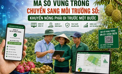 Mã số vùng trồng chuyển sang môi trường số: Khuyến nông phải đi trước một bước