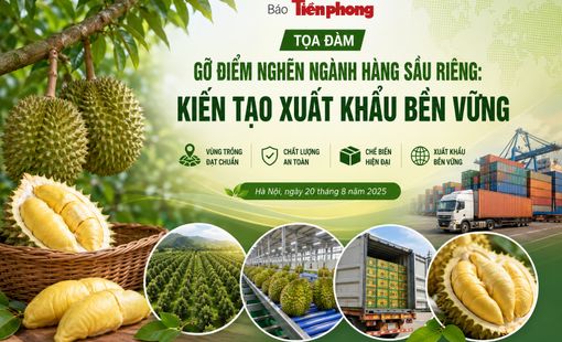 Gỡ điểm nghẽn ngành hàng sầu riêng, hướng tới xuất khẩu bền vững