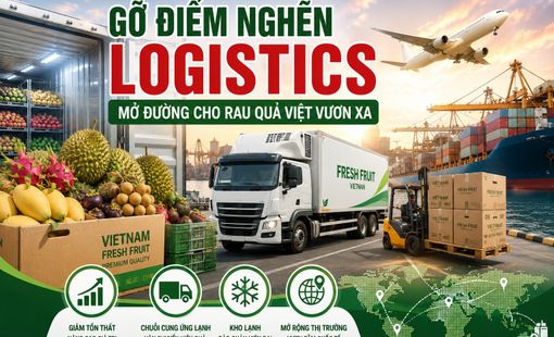 Gỡ điểm nghẽn logistics, mở đường cho rau quả Việt vươn xa