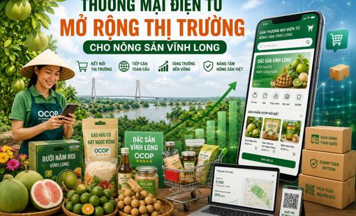 Thương mại điện tử mở rộng thị trường cho nông sản Vĩnh Long