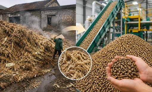 Làng này bỏ đi, làng kia kiếm tiền: Khi phụ phẩm thành “nguyên liệu vàng”