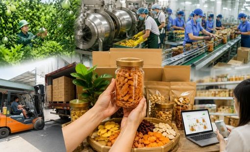 Một sản phẩm OCOP bán chạy, cả “hệ sinh thái máy móc” phía sau cũng chuyển động