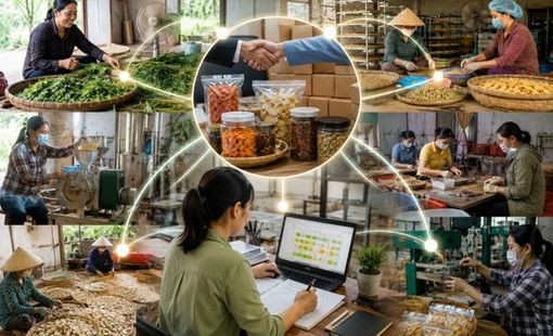 Không có nhà máy lớn, vẫn nhận được đơn hàng lớn bằng cách nào?