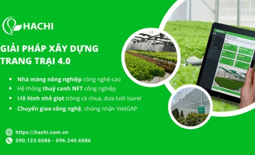 Công ty cổ phần công nghệ cao Hachi Việt Nam: Đưa công nghệ vào nông nghiệp, mở lối sản xuất xanh bền vững