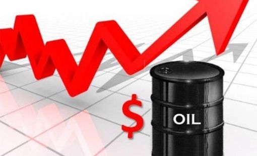 Giá xăng dầu hôm nay 22/8: Giá dầu thế giới tiếp tục tăng