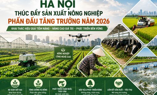 Hà Nội thúc đẩy sản xuất nông nghiệp, phấn đấu đạt mục tiêu tăng trưởng năm 2026